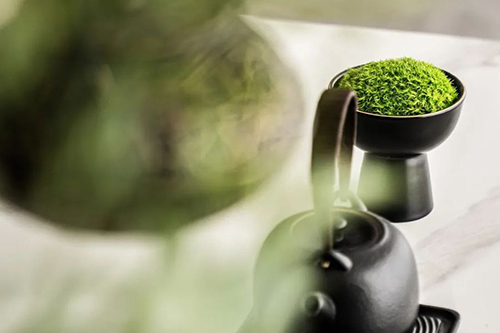 Thiết kế không gian quán cafe 2026 – Nghệ thuật tạo nên trải nghiệm